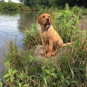 Meet your Posher, Kevin